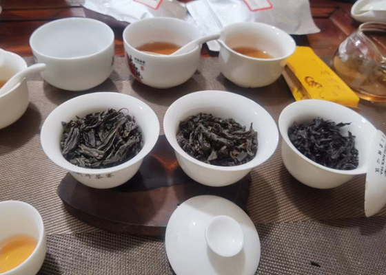 出身 武井 山 黒茶 涼しく乾燥した場所に保管