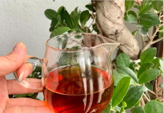 ティリンは,福建農業科学アカデミーの茶研究所からタイグアと交配して開発された.