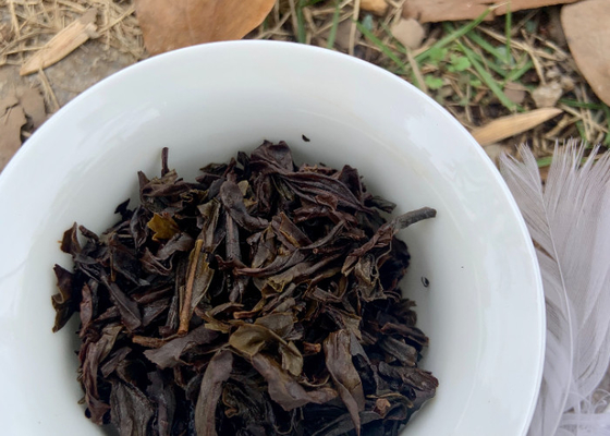 100°C の 醸造 温度 で 熟成 さ れ た プー エール 茶 の 果実 の 性質 を 明らかに する