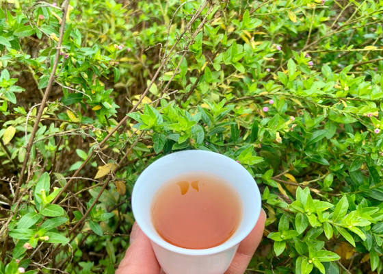 3〜5分間の飲酒時間で 健康的な旅に出よう