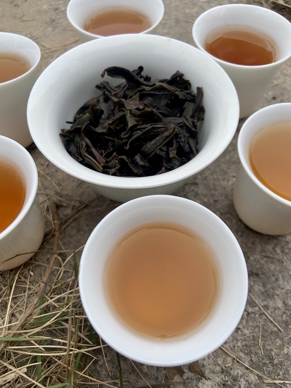 乾燥し涼しい場所 フェイバイ アンジ 白茶 小缶茶 醸造時間 2-3分